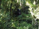 Bild14