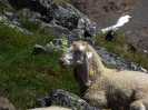 Bild_1