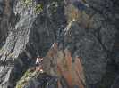 Bild_1