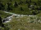 Bild_1