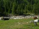 Bild_1