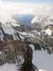 Bild-