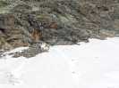 Bild-_119