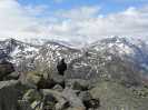 Bild-_125