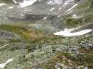 Bild-_172