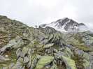 Bild-_180