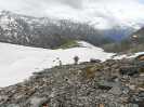 Bild-_202