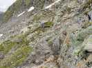 Bild-_209