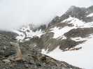 Bild-_230