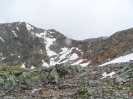 Bild-_244