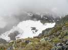 Bild-_247