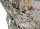 Bild-_41