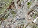 Bild-_47