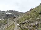 Bild-_55
