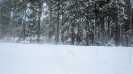 Bild-