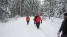Bild-