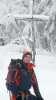Bild-