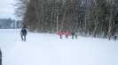 Bild-