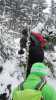 Bild-