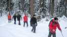 Bild-