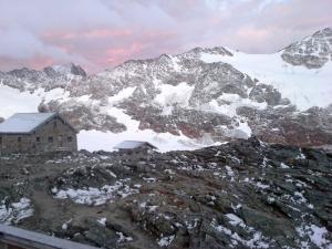 Bild-