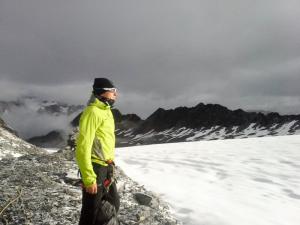 Bild-