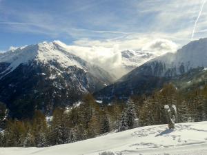 Bild-_6