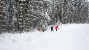 Bild-