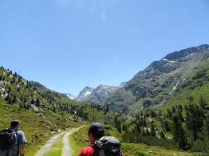 Bild_1