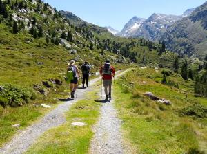 Bild_1