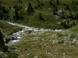 Bild_1