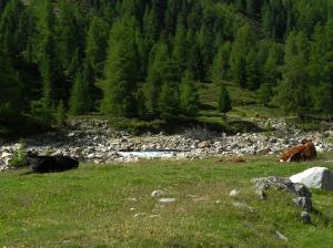 Bild_1