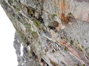 Bild-_41