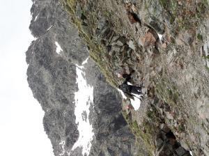 Bild-_42