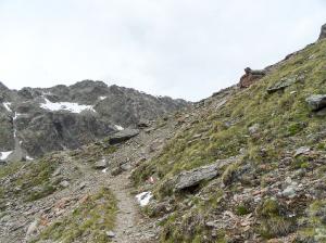 Bild-_55