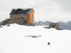 Bild-_101
