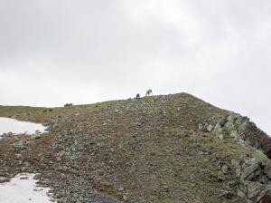 Bild-_154