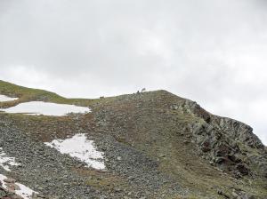 Bild-_155