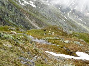 Bild-_188