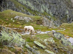 Bild-_189