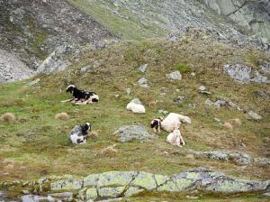 Bild-_190