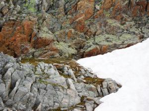 Bild-_201