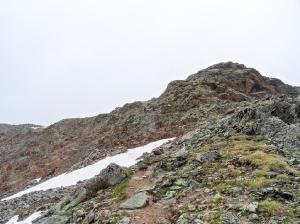 Bild-_243
