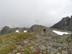 Bild-_245