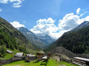Bild-_259