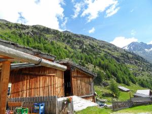 Bild-_260