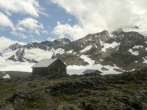 Bild-