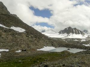 Bild-