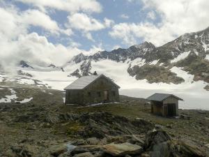 Bild-