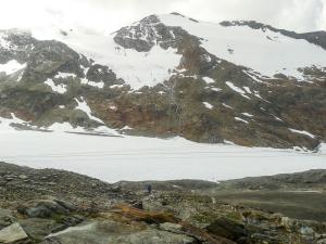 Bild-